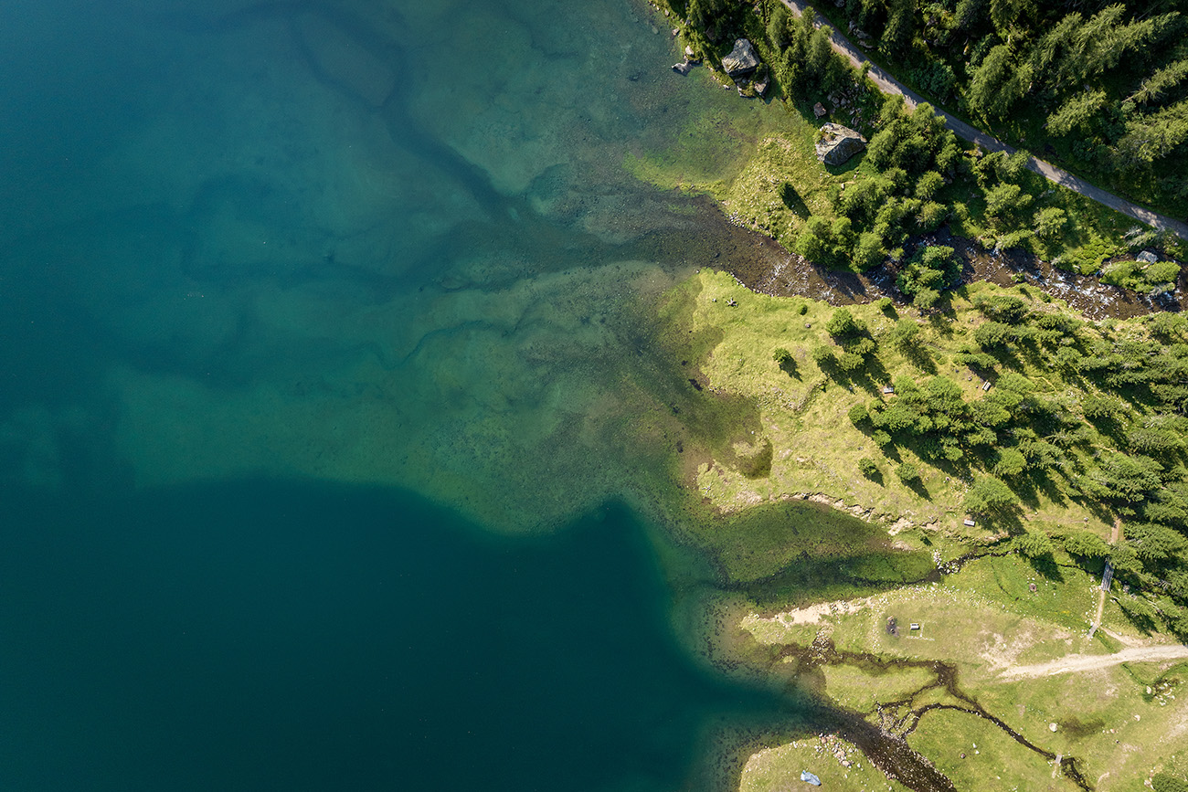 Alperia tra gli European Climate Leaders 2023 del Financial Time