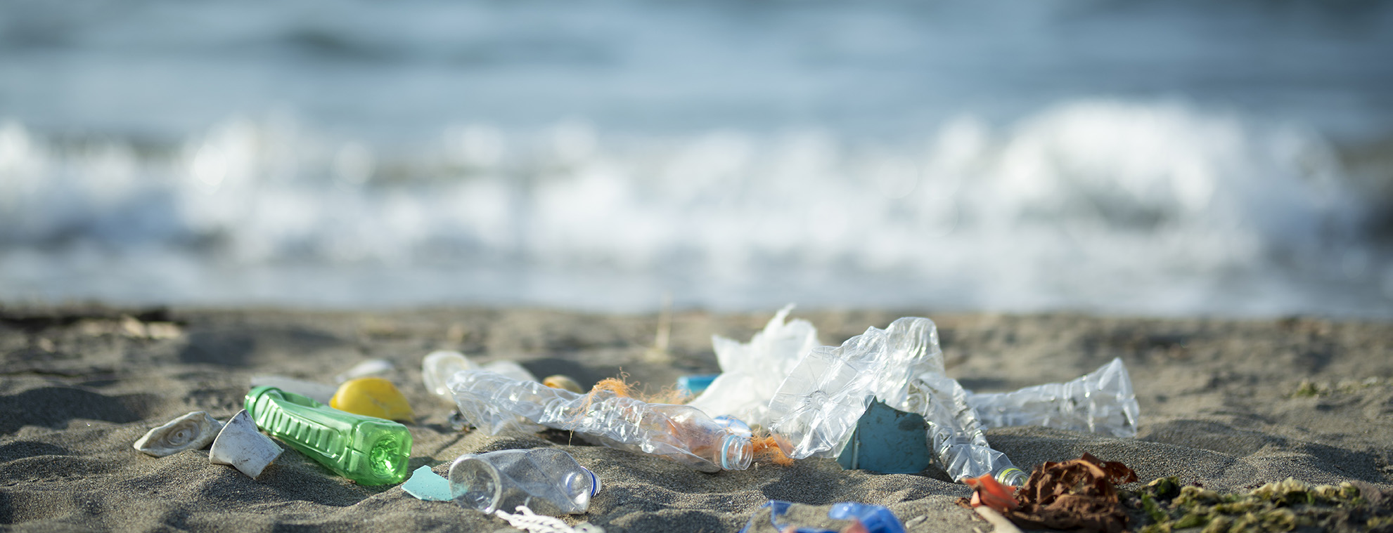 microplastiche